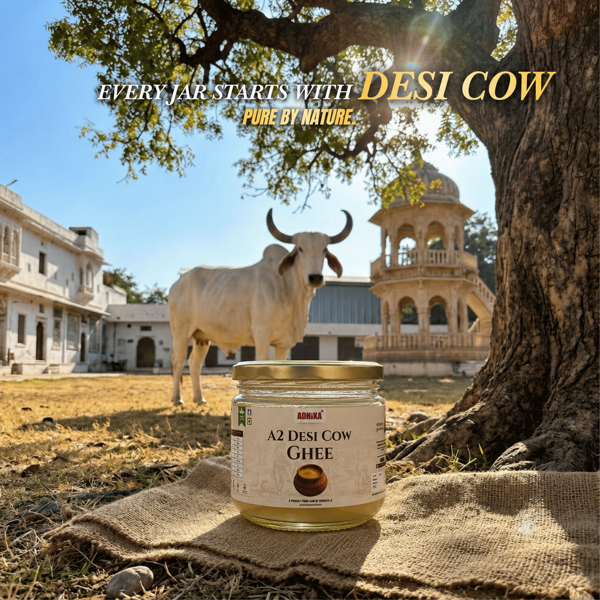 Bilona A2 Ghee – 500 ml