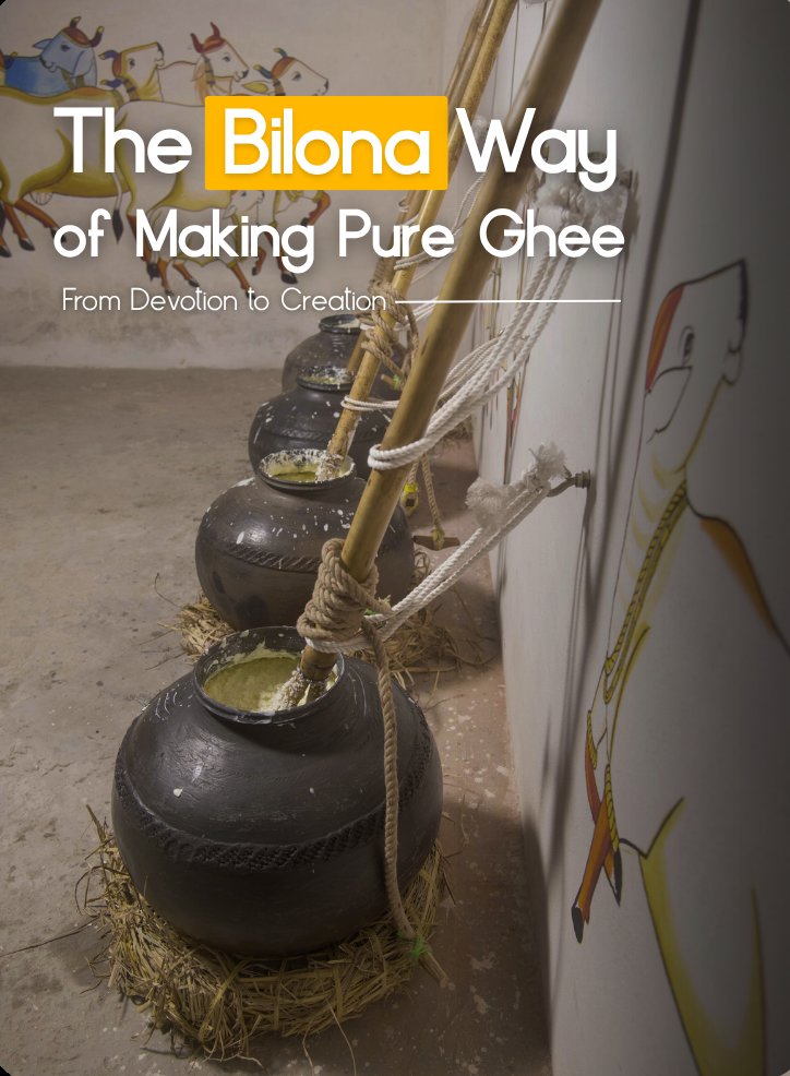 The Bilona Way of making pure ghee